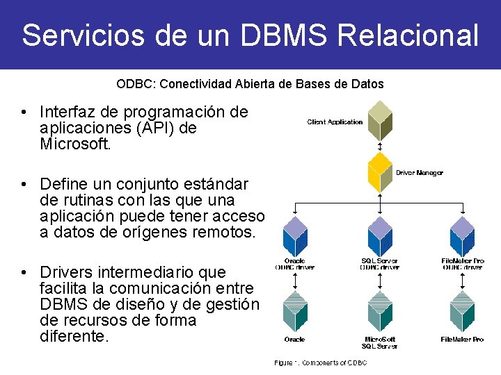 Servicios de un DBMS Relacional ODBC: Conectividad Abierta de Bases de Datos • Interfaz