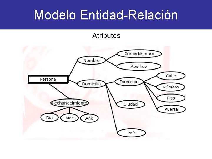 Modelo Entidad-Relación Atributos 