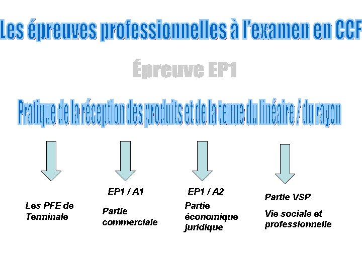 EP 1 / A 1 Les PFE de Terminale Partie commerciale EP 1 /