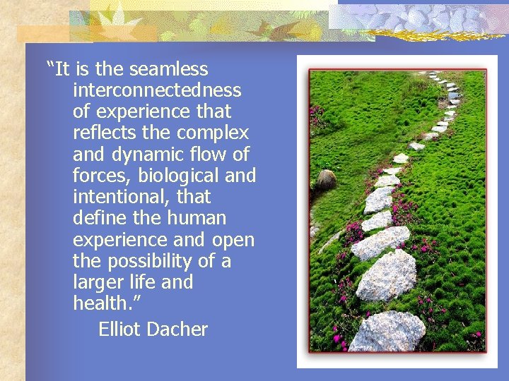 “It is the seamless interconnectedness of experience that reflects the complex and dynamic flow