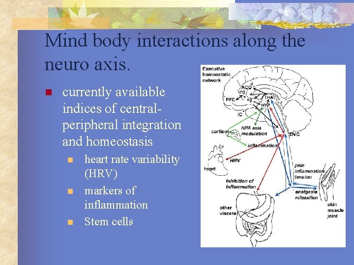 Mind body interactions along the neuro axis. n currently available indices of centralperipheral integration