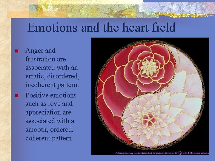 Emotions and the heart field n n Anger and frustration are associated with an