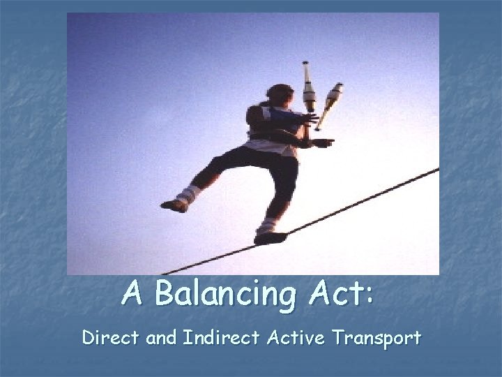 A Balancing Act: Direct and Indirect Active Transport 