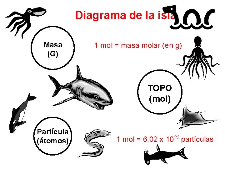 Diagrama de la isla Masa (G) 1 mol = masa molar (en g) TOPO