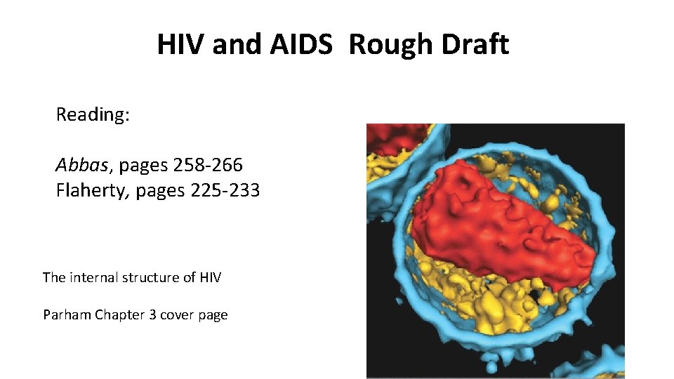 HIV and AIDS Rough Draft Reading: Abbas, pages 258 -266 Flaherty, pages 225 -233