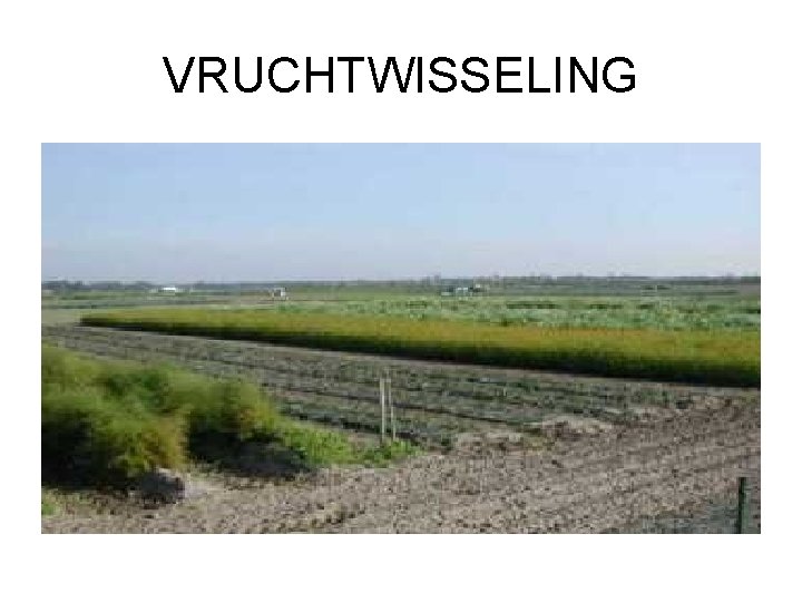 VRUCHTWISSELING 