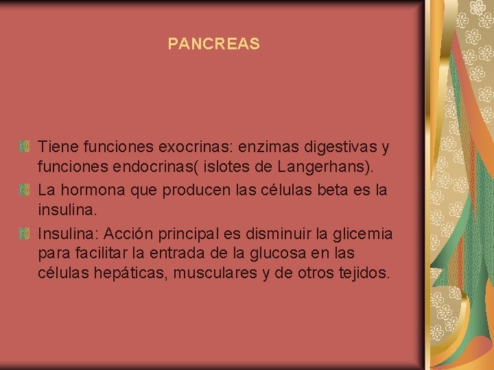 PANCREAS Tiene funciones exocrinas: enzimas digestivas y funciones endocrinas( islotes de Langerhans). La hormona