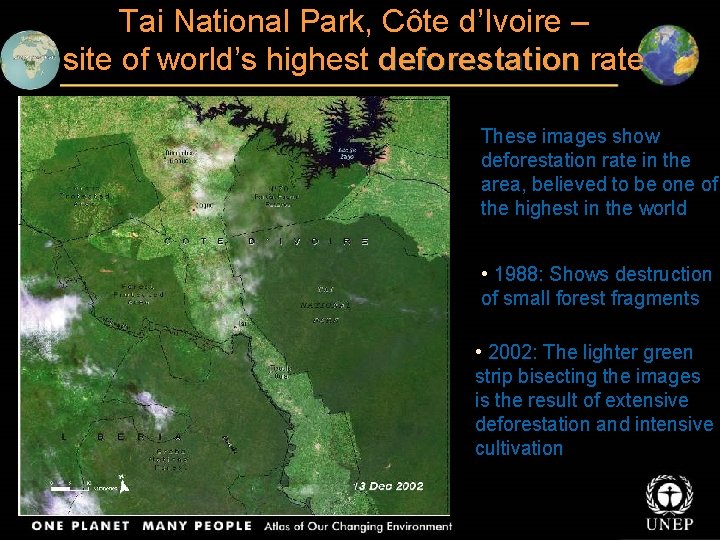 Tai National Park, Côte d’Ivoire – site of world’s highest deforestation rate These images