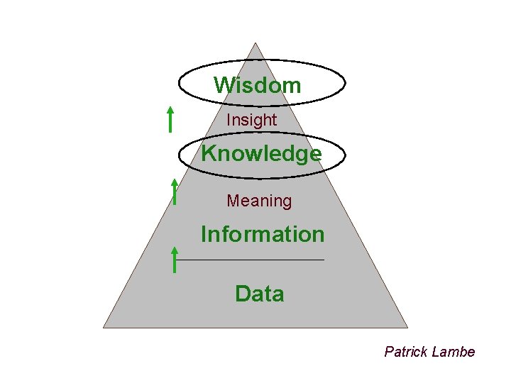 Wisdom Insight Knowledge Meaning Information Data Patrick Lambe 