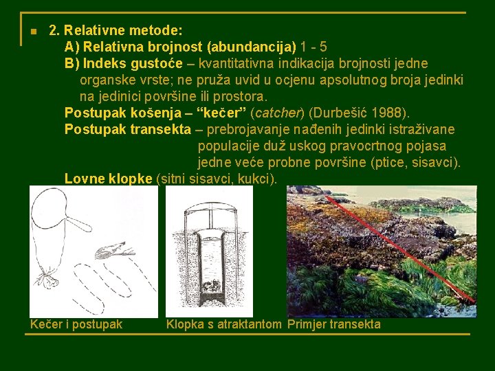 n 2. Relativne metode: A) Relativna brojnost (abundancija) 1 - 5 B) Indeks gustoće