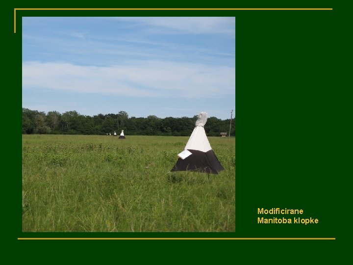 Modificirane Manitoba klopke 