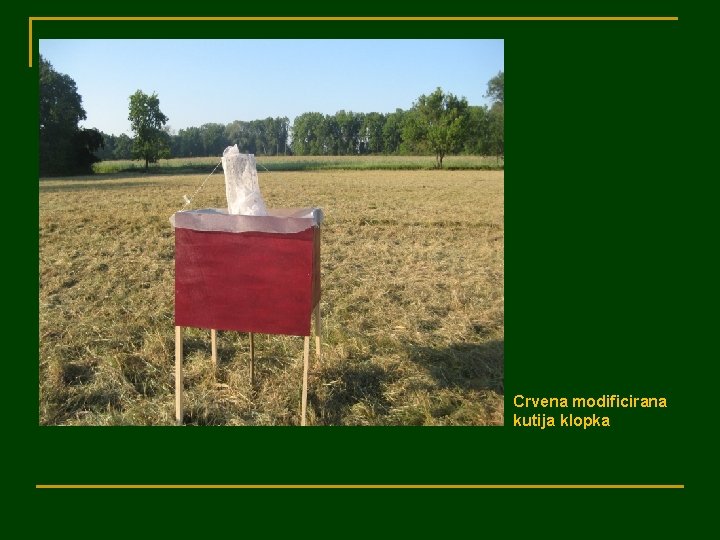 Crvena modificirana kutija klopka 
