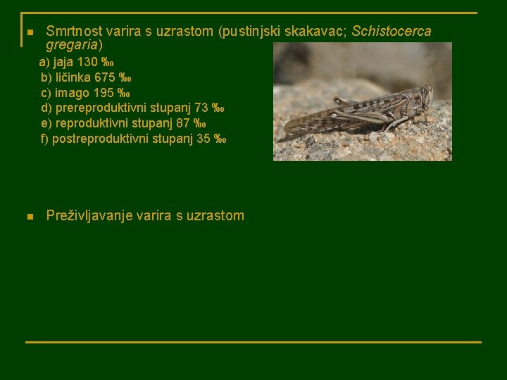 n Smrtnost varira s uzrastom (pustinjski skakavac; Schistocerca gregaria) a) jaja 130 ‰ b)