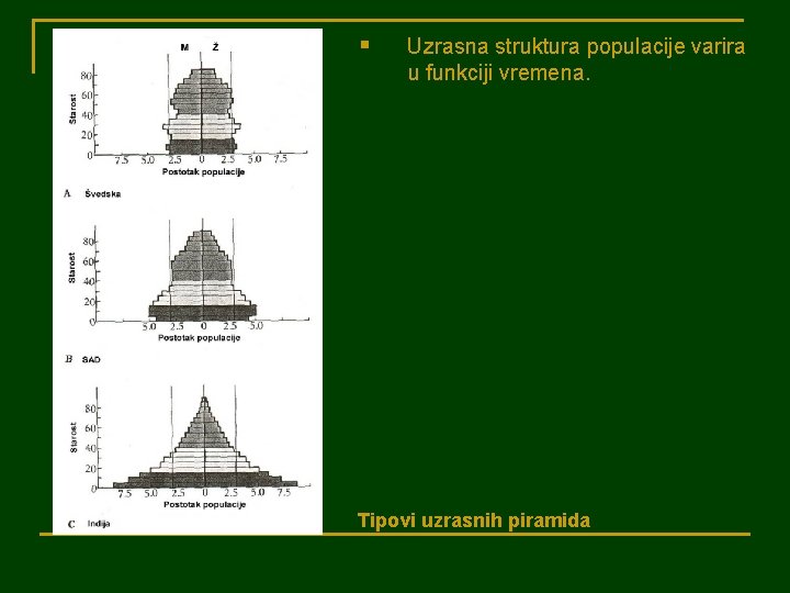 § Uzrasna struktura populacije varira u funkciji vremena. Tipovi uzrasnih piramida 