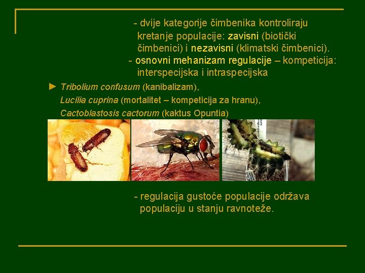 - dvije kategorije čimbenika kontroliraju kretanje populacije: zavisni (biotički čimbenici) i nezavisni (klimatski čimbenici).