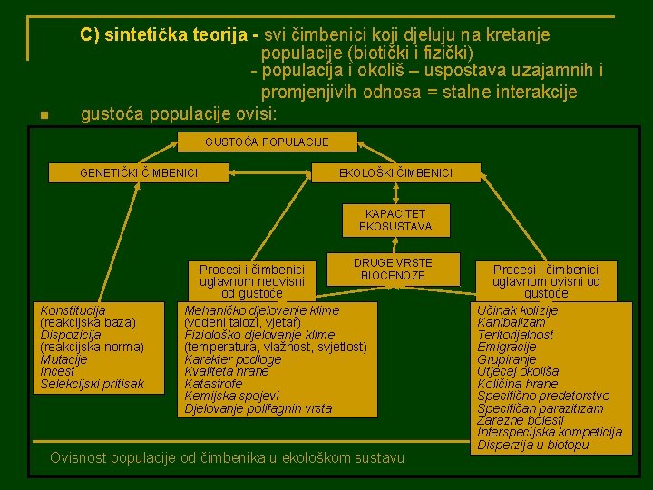 n C) sintetička teorija - svi čimbenici koji djeluju na kretanje populacije (biotički i