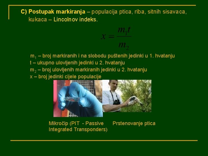 C) Postupak markiranja – populacija ptica, riba, sitnih sisavaca, kukaca – Lincolnov indeks. m