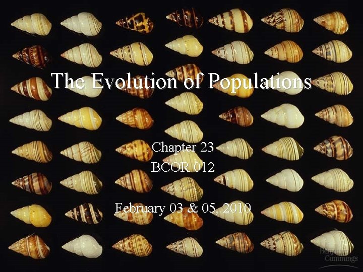 The Evolution of Populations Chapter 23 BCOR 012 February 03 & 05, 2010 