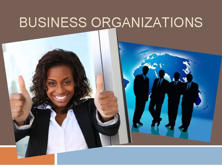 BUSINESS ORGANIZATIONS 