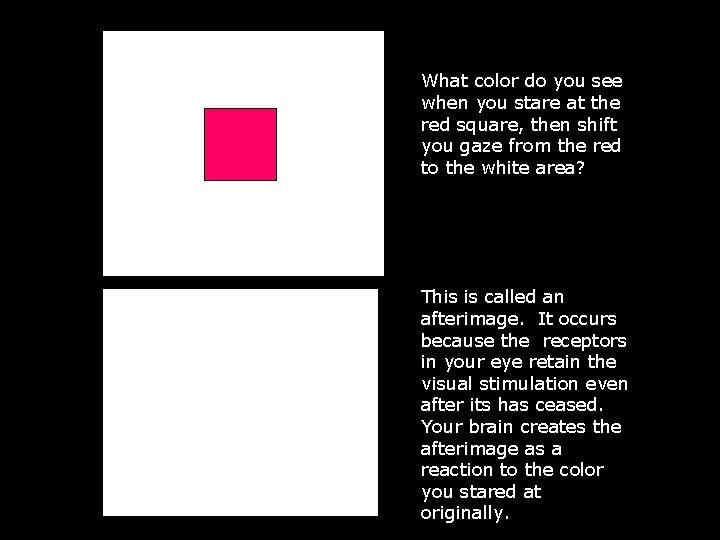 What color do you see when you stare at the red square, then shift