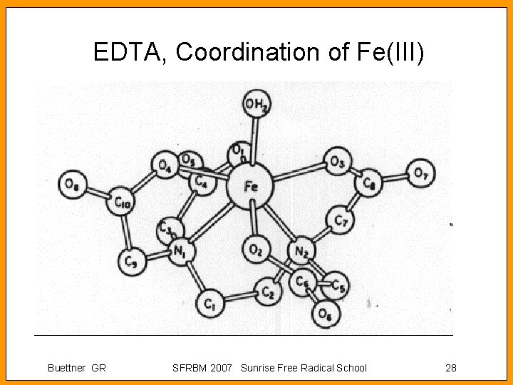 EDTA, Coordination of Fe(III) Buettner GR SFRBM 2007 Sunrise Free Radical School 28 