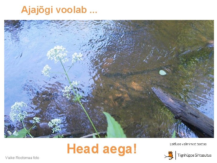 Ajajõgi voolab. . . Vaike Rootsmaa foto Head aega! 