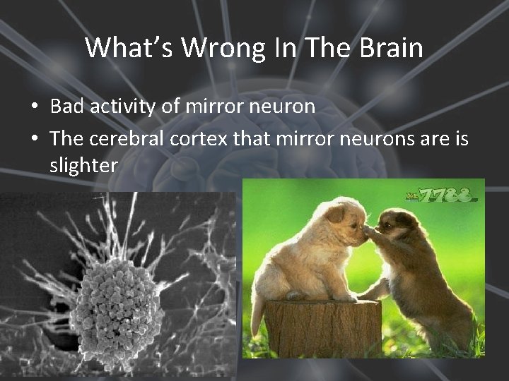 What’s Wrong In The Brain • Bad activity of mirror neuron • The cerebral