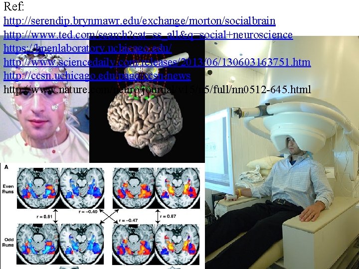 Ref: http: //serendip. brynmawr. edu/exchange/morton/socialbrain http: //www. ted. com/search? cat=ss_all&q=social+neuroscience https: //hpenlaboratory. uchicago. edu/