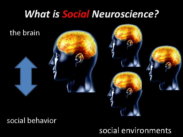 What is Social Neuroscience? the brain social behavior social environments 