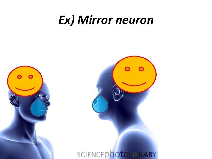 Ex) Mirror neuron 