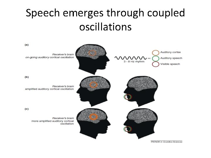 Speech emerges through coupled oscillations 