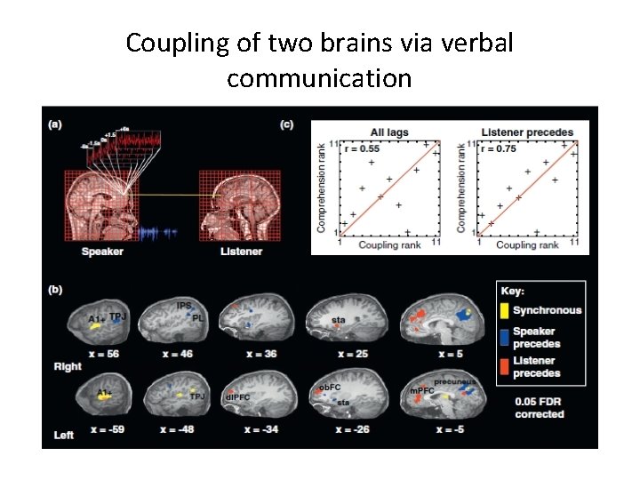 Coupling of two brains via verbal communication 