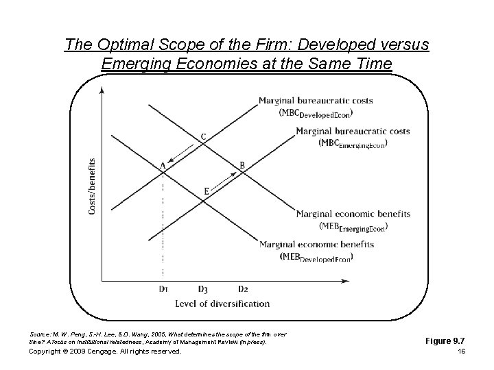 The Optimal Scope of the Firm: Developed versus Emerging Economies at the Same Time