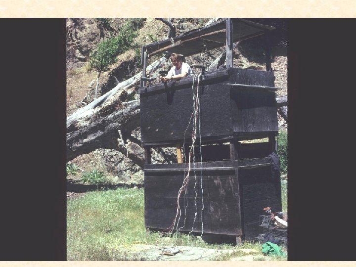 Ground squirrels rattlesnakes and burrowing owls the legend