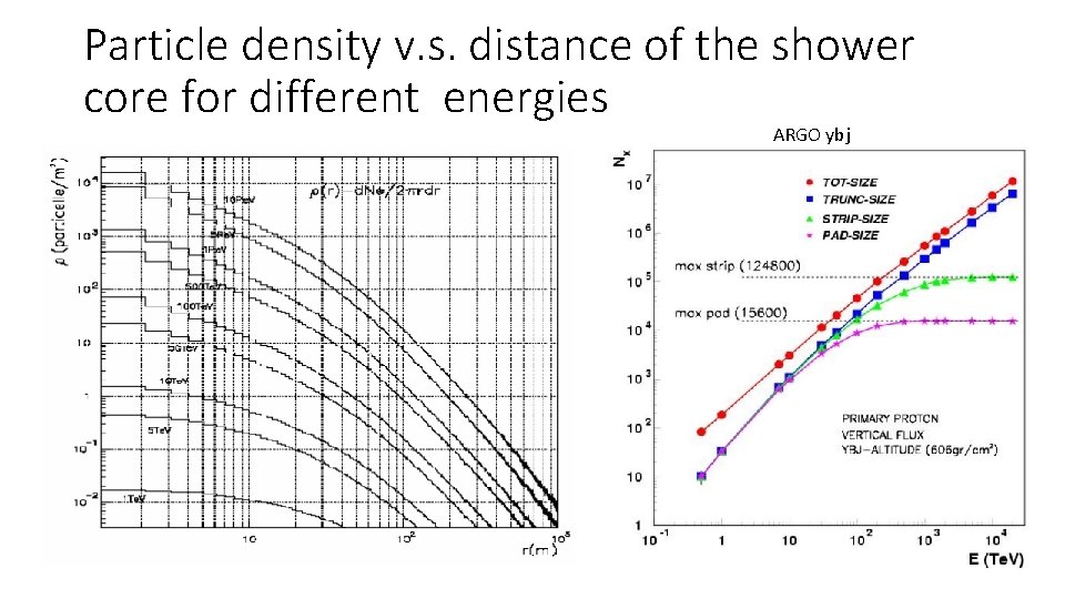 Particle density v. s. distance of the shower core for different energies ARGO ybj