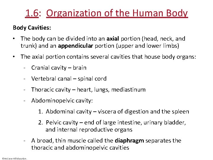 1. 6: Organization of the Human Body Cavities: • The body can be divided