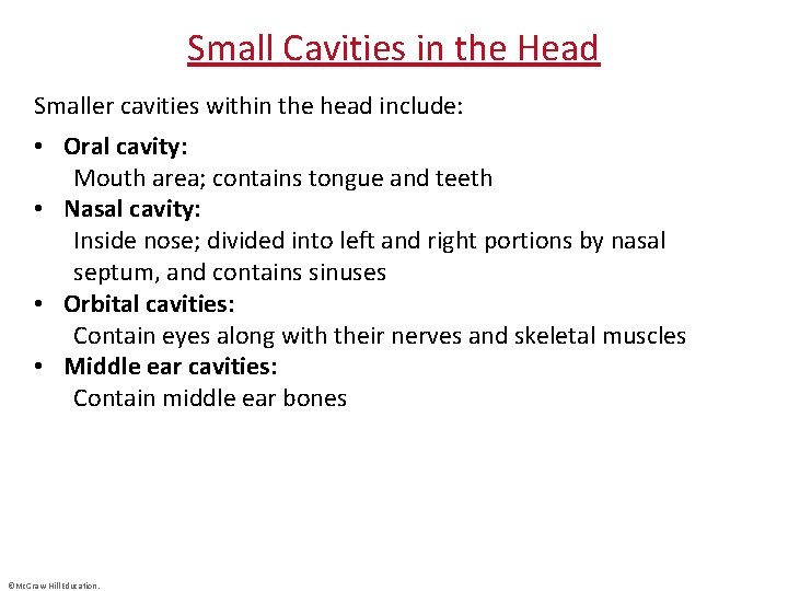 Small Cavities in the Head Smaller cavities within the head include: • Oral cavity: