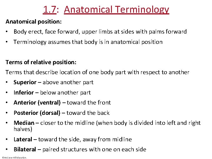 1. 7: Anatomical Terminology Anatomical position: • Body erect, face forward, upper limbs at