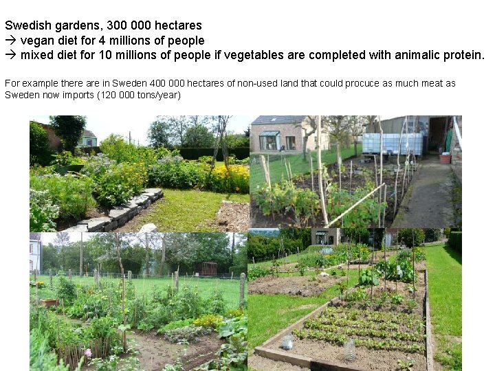 Swedish gardens, 300 000 hectares vegan diet for 4 millions of people mixed diet