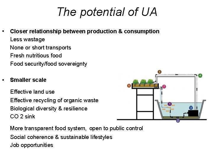 The potential of UA • Closer relationship between production & consumption Less wastage None