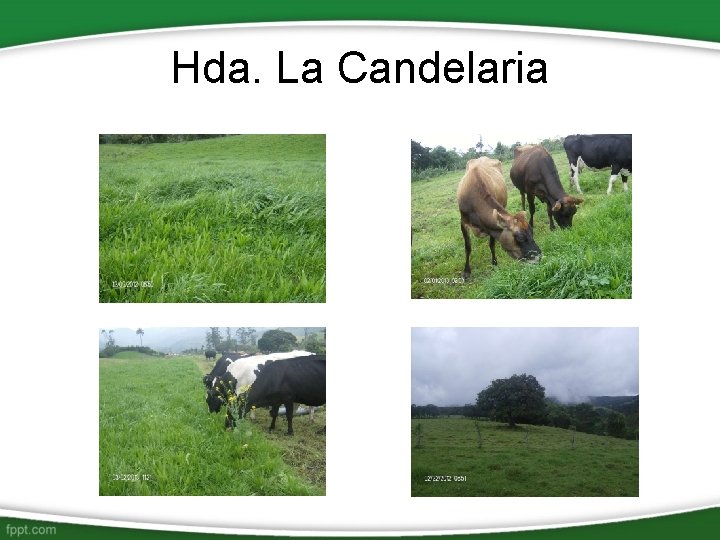 Hda. La Candelaria 