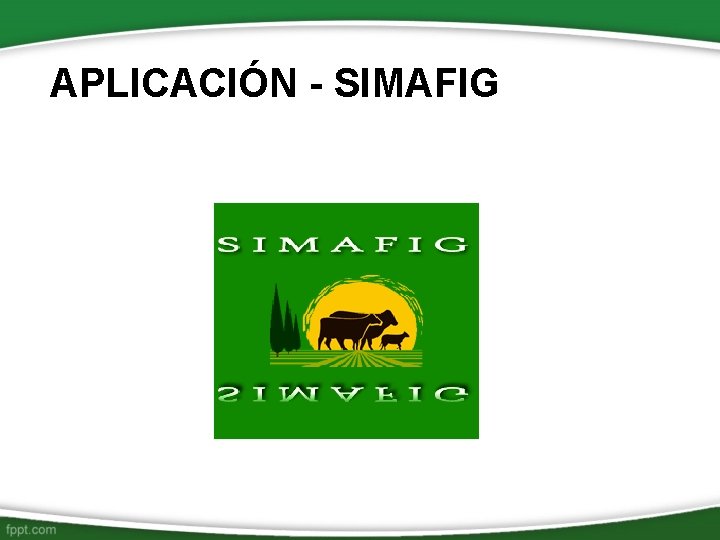 APLICACIÓN - SIMAFIG 