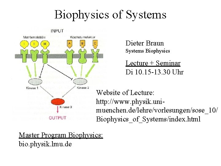 Biophysics of Systems Dieter Braun Systems Biophysics Lecture + Seminar Di 10. 15 -13.