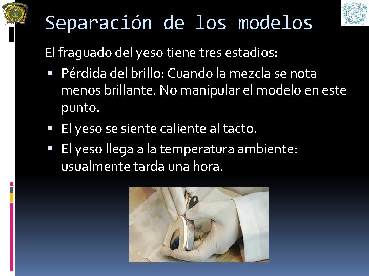 Separación de los modelos El fraguado del yeso tiene tres estadios: Pérdida del brillo: