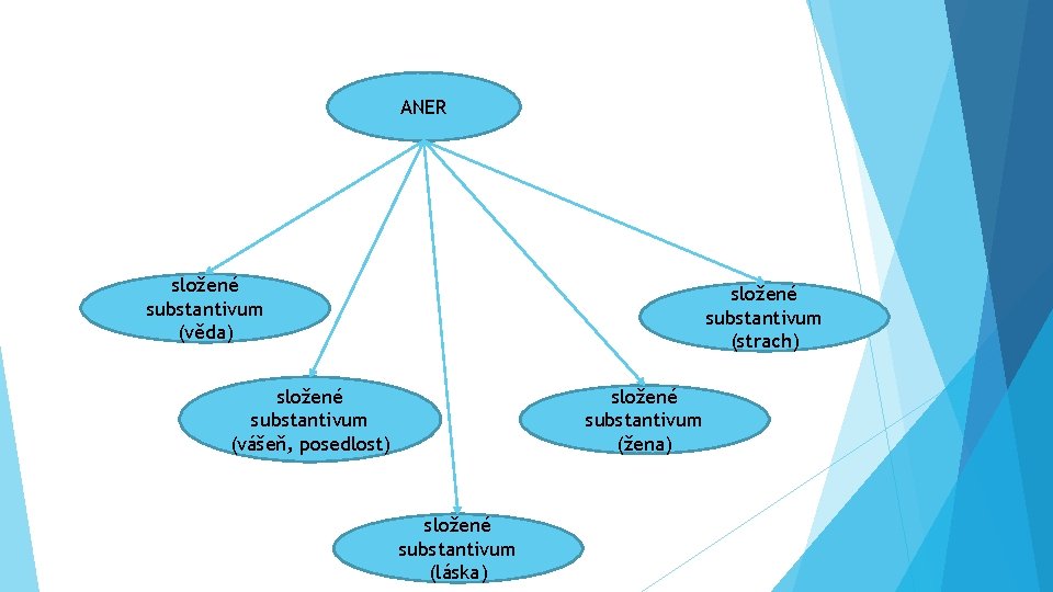 ANER složené substantivum (věda) složené substantivum (strach) složené substantivum (vášeň, posedlost) složené substantivum (žena)