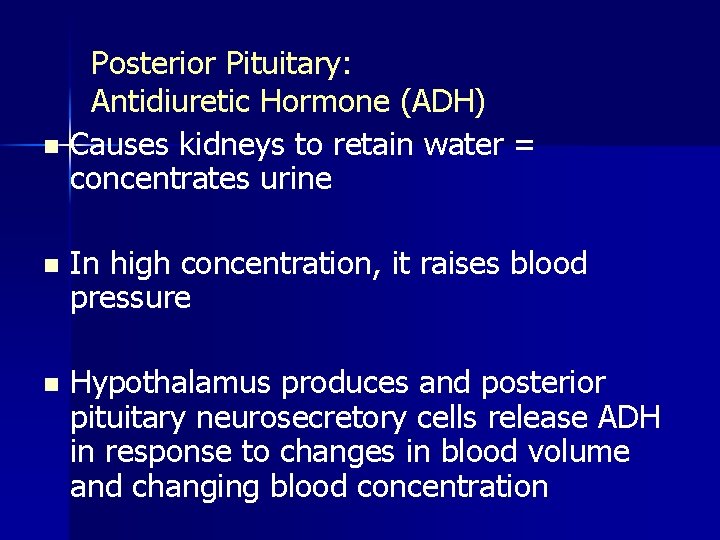 Posterior Pituitary: Antidiuretic Hormone (ADH) n Causes kidneys to retain water = concentrates urine