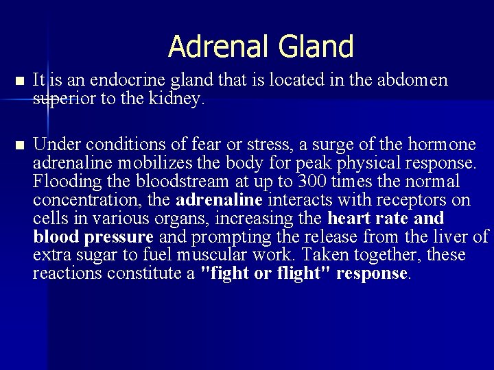 Adrenal Gland n It is an endocrine gland that is located in the abdomen