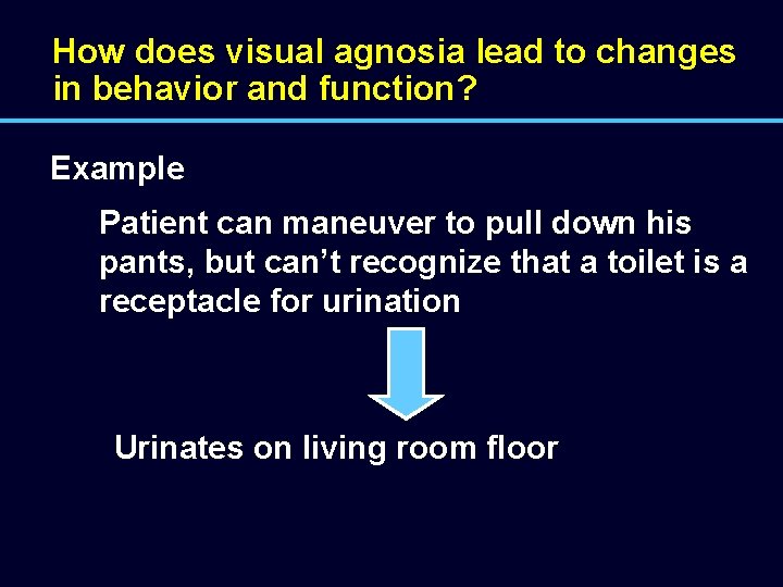 How does visual agnosia lead to changes in behavior and function? Example Patient can