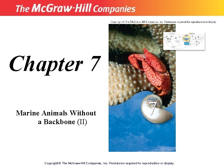 Chapter 7 Marine Animals Without a Backbone (II) Copyright © The Mc. Graw-Hill Companies,