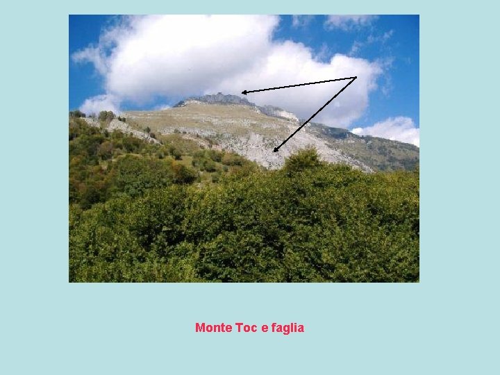 Monte Toc e faglia 